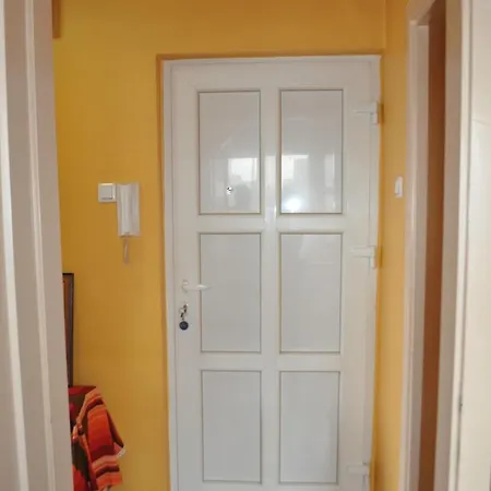 Ms